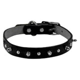 Weaver Leather-Spiked Dog Collar