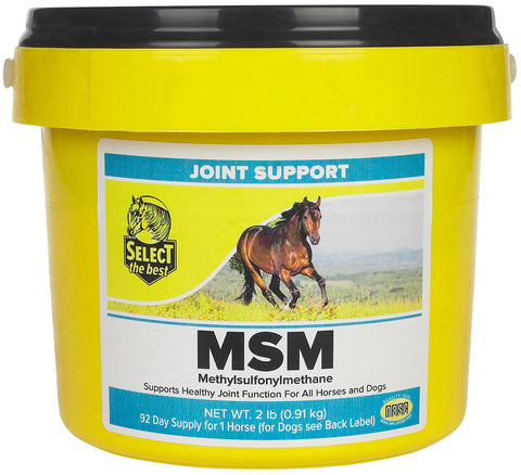 Select MSM Powder for Horses